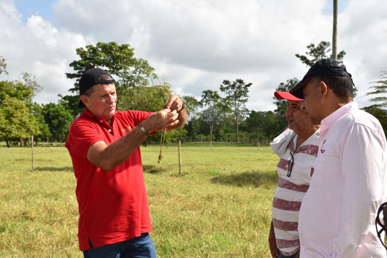 Revisión de forraje junto a productores